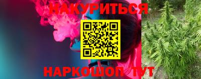 амф Можга