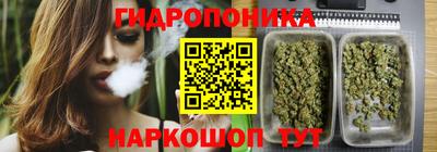 амф Можга